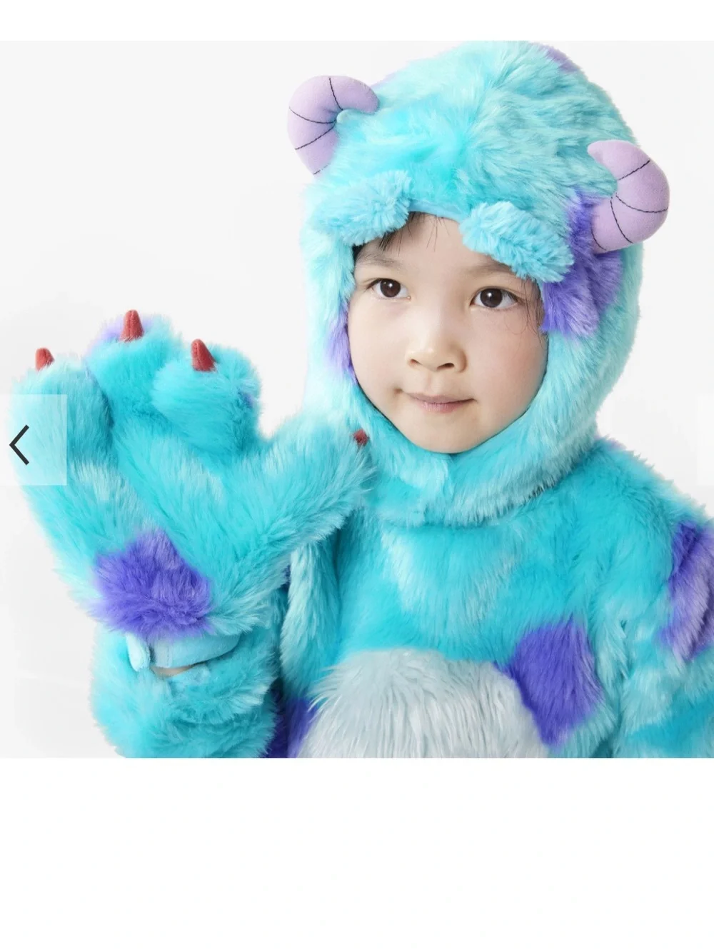 Disney and Pixar Monsters, Inc. Sulley Costume 4-6 - Picture 5 of 16